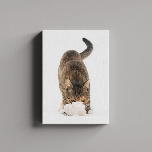 Tablou Canvas Portret – 1_2_7