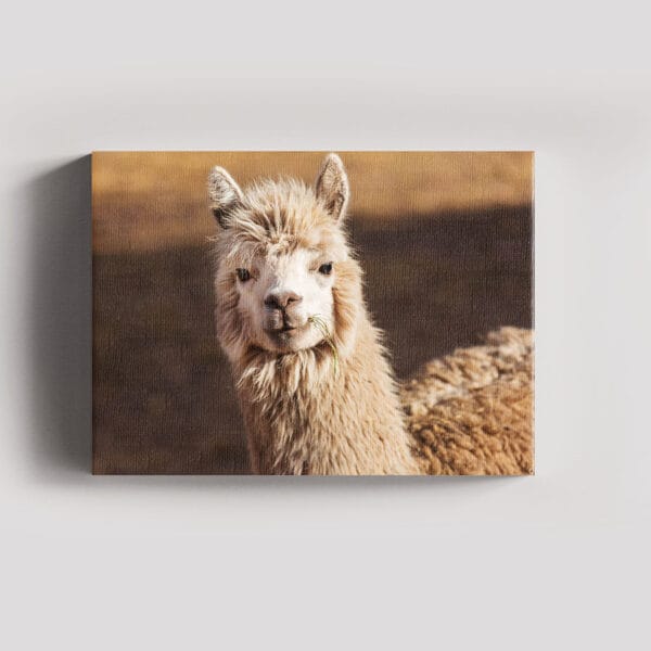 Tablou Canvas Landscape – 4_2_7