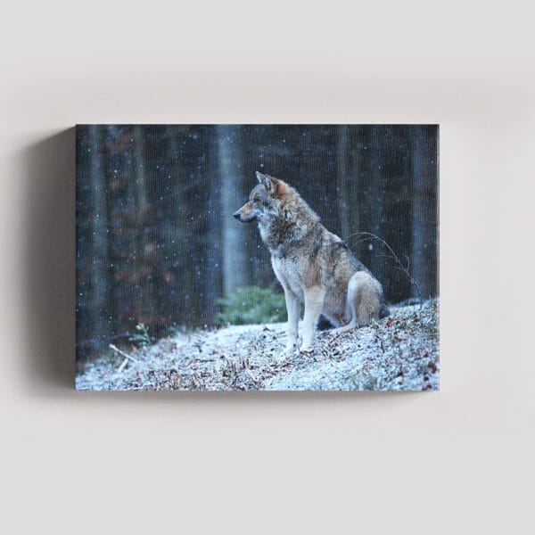 Tablou Canvas Landscape – 4_2_8