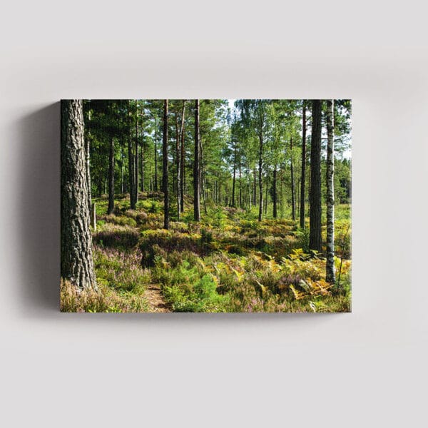 Tablou Canvas Landscape – Padure 1