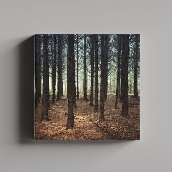 Tablou Canvas Patrat – Padure 1