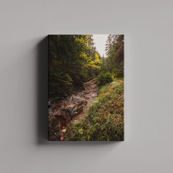 Tablou Canvas Portret – Padure 10