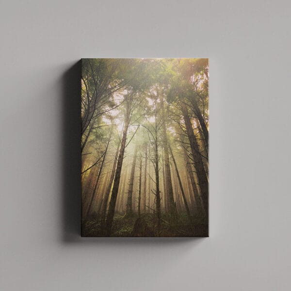 Tablou Canvas Portret – Padure 2