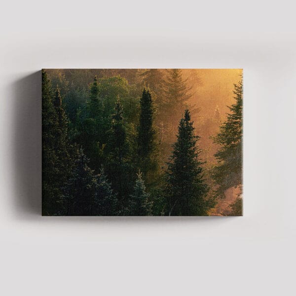 Tablou Canvas Landscape – Padure 2