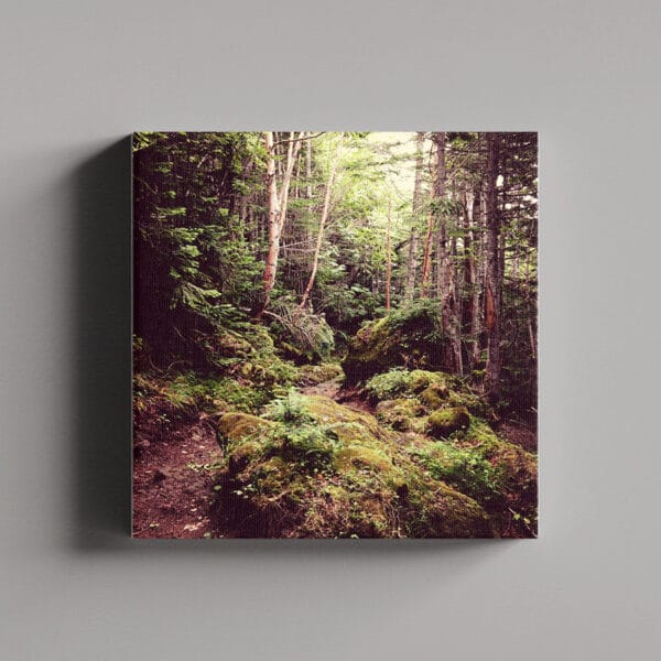 Tablou Canvas Patrat – Padure 2