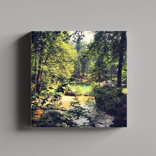 Tablou Canvas Patrat – Padure 3