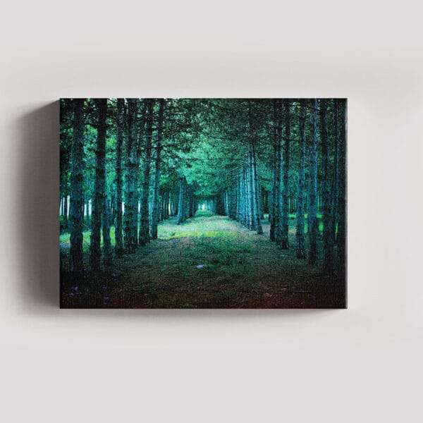 Tablou Canvas Landscape – Padure 5