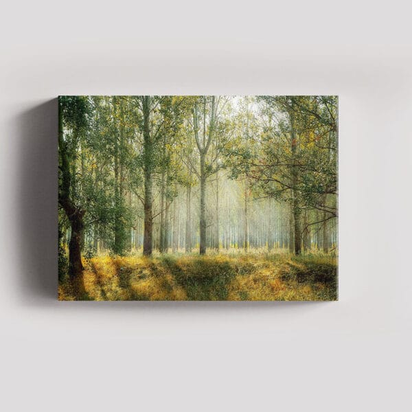 Tablou Canvas Landscape – Padure 7