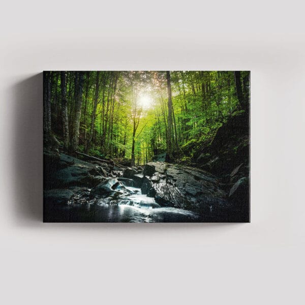 Tablou Canvas Landscape – Padure 8