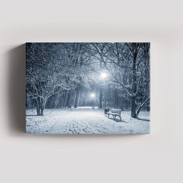 Tablou Canvas Landscape – Parc Iarna