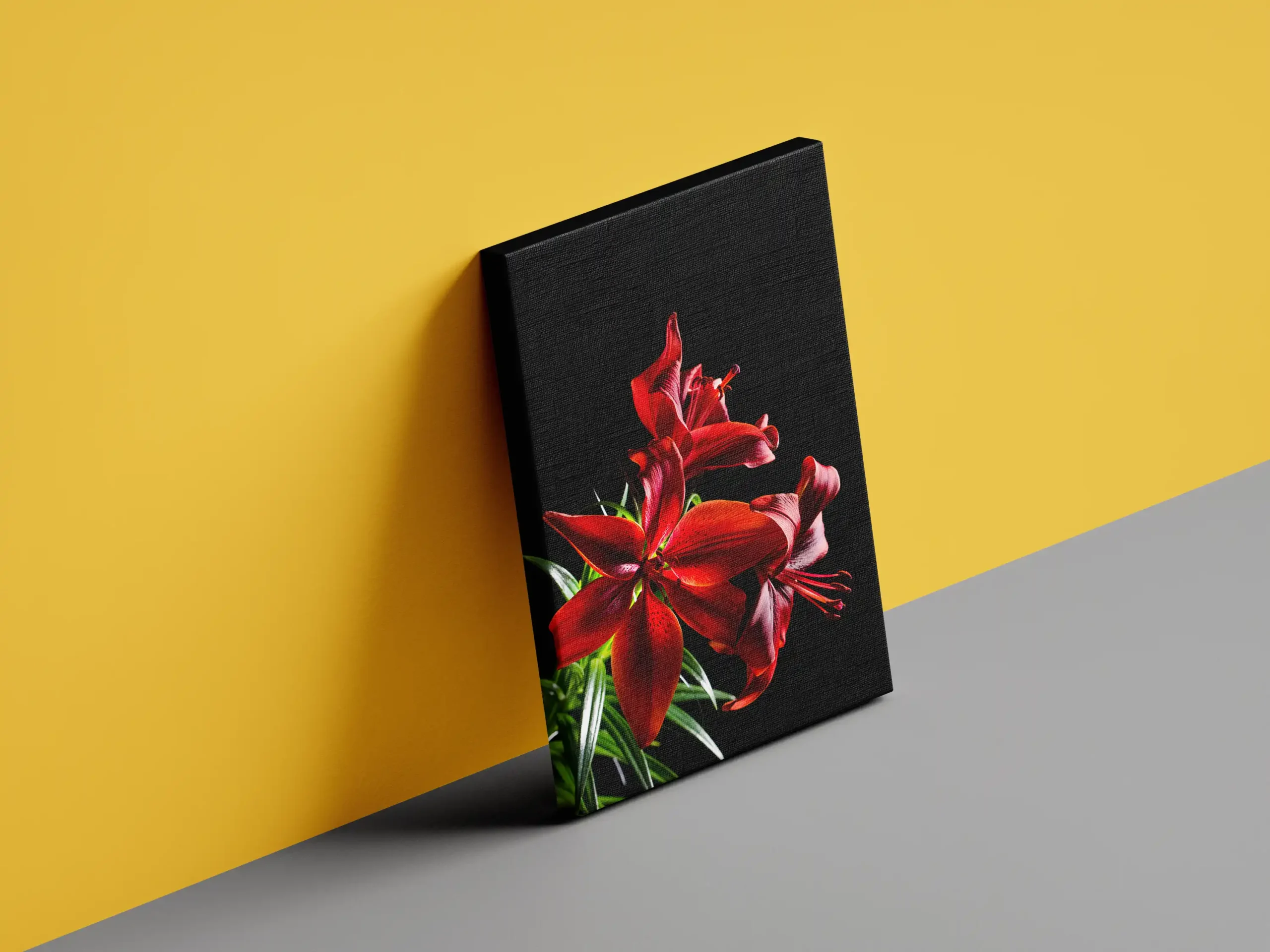 Canvas_Mockup_3 copy