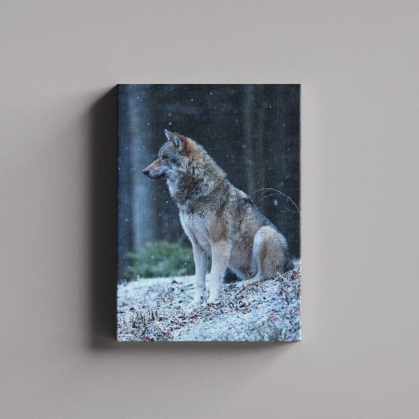 Tablou Canvas Portret – 1_2_4