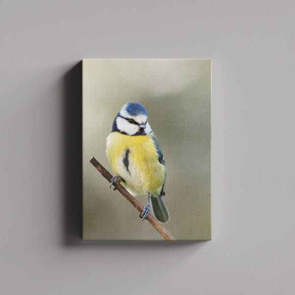 Tablou Canvas Portret – 1_2_6