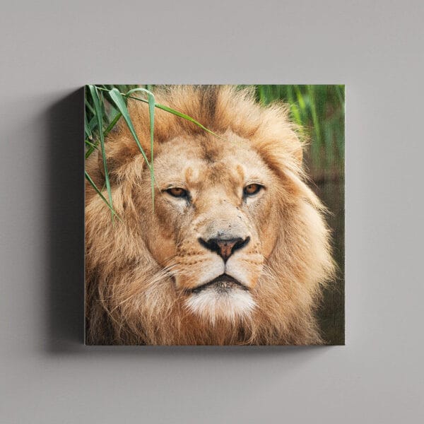 Tablou Canvas Patrat – 2_2_3