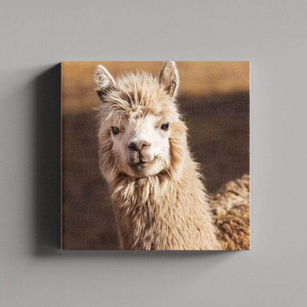 Tablou Canvas Patrat – 2_2_4