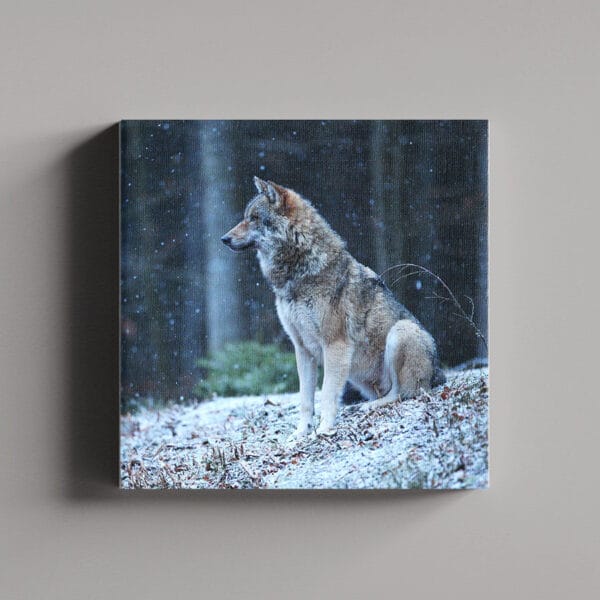 Tablou Canvas Patrat – 2_2_5