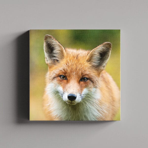 Tablou Canvas Patrat – 2_2_6