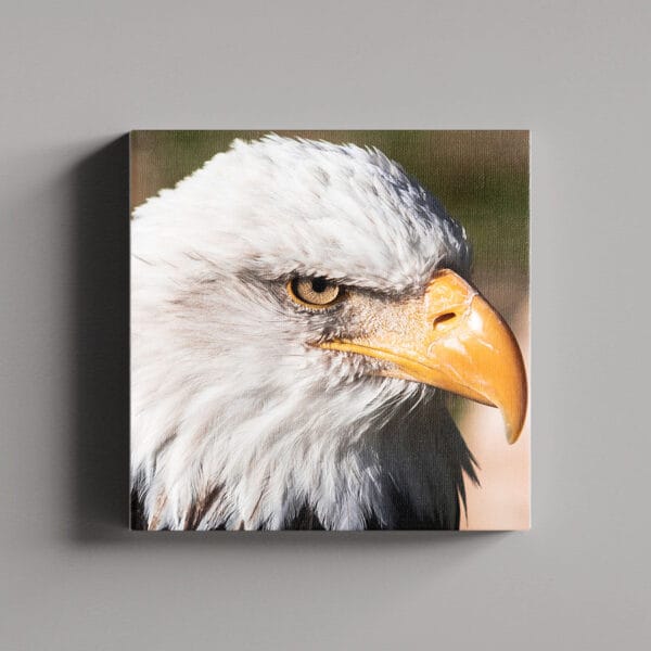 Tablou Canvas Patrat – 2_2_7