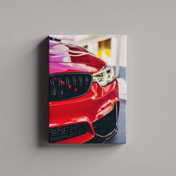 Tablou Canvas Portret – Far 1