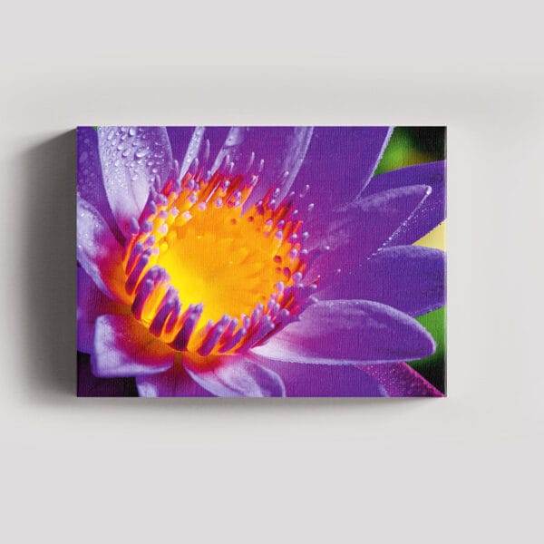 Tablou Canvas Landscape – Flori 2