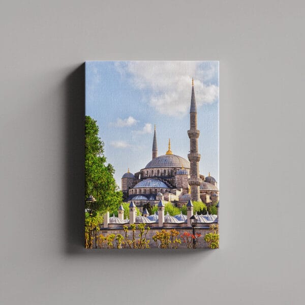 Tablou Canvas Portret – Istanbul