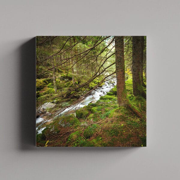 Tablou Canvas Patrat – Padure 4