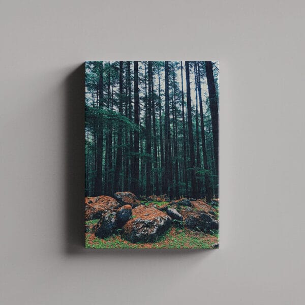 Tablou Canvas Portret – Padure 5