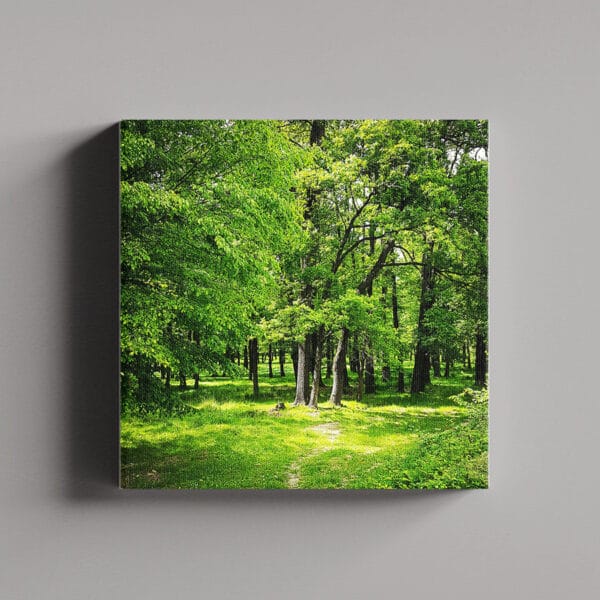Tablou Canvas Patrat – Padure 5