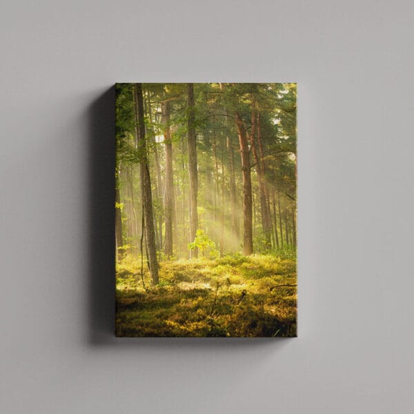 Tablou Canvas Portret – Padure 6