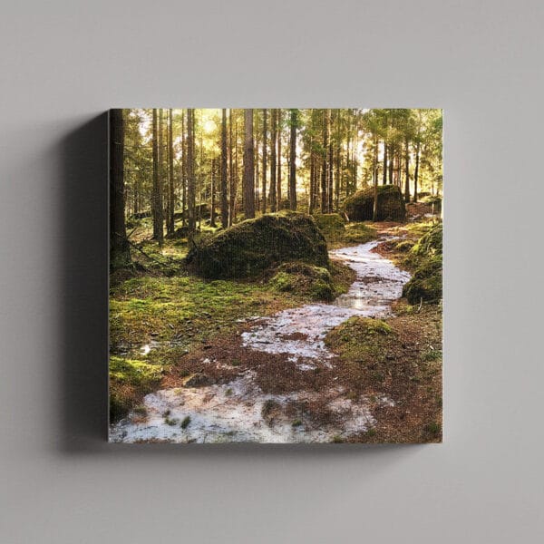 Tablou Canvas Patrat – Padure 6