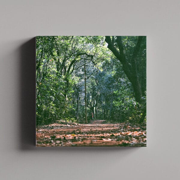 Tablou Canvas Patrat – Padure 7