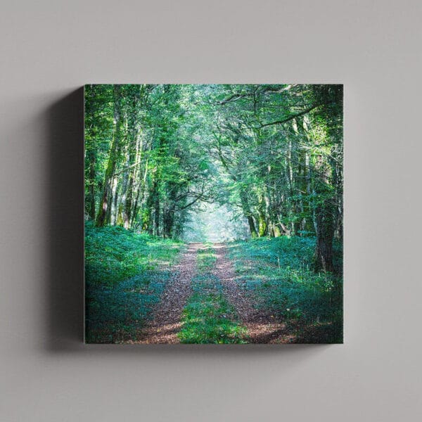 Tablou Canvas Patrat – Padure 8