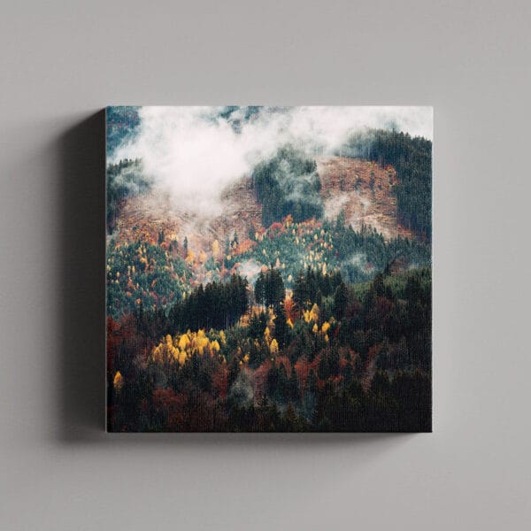Tablou Canvas Patrat – Padure 9