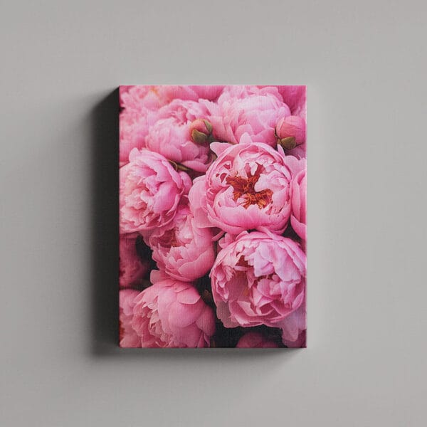 Tablou Canvas Portret – Roz
